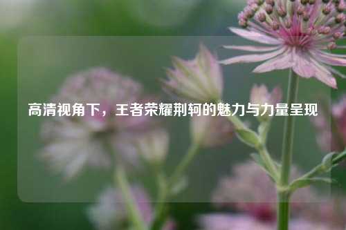 高清视角下,王者荣耀荆轲的魅力与力量呈现