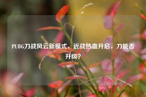 PUBG刀战风云新模式，近战热血开启，刀能否升级？