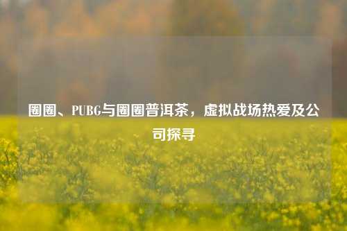 圈圈、PUBG与圈圈普洱茶，虚拟战场热爱及公司探寻