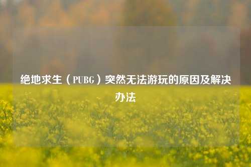 绝地求生（PUBG）突然无法游玩的原因及解决办法