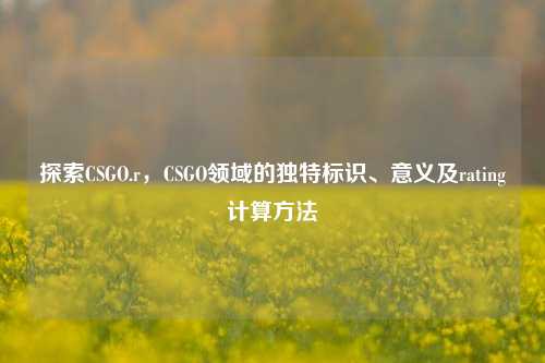 探索CSGO.r,CSGO领域的独特标识、意义及rating计算方法