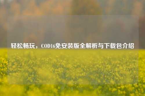 轻松畅玩，COD16免安装版全解析与下载包介绍