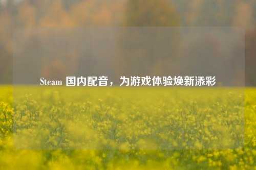 Steam 国内配音，为游戏体验焕新添彩