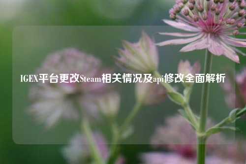 IGEX平台更改Steam相关情况及api修改全面解析