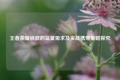王者荣耀杨戬的蓝量需求及实战携带策略探究