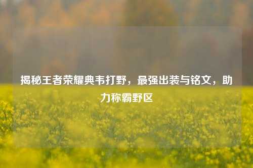 揭秘王者荣耀典韦打野，最强出装与铭文，助力称霸野区
