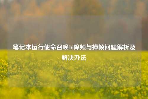 笔记本运行使命召唤16降频与掉帧问题解析及解决办法