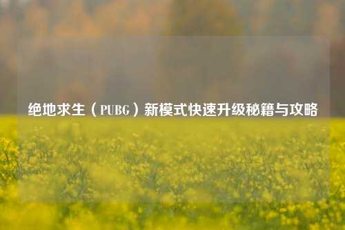 绝地求生（PUBG）新模式快速升级秘籍与攻略