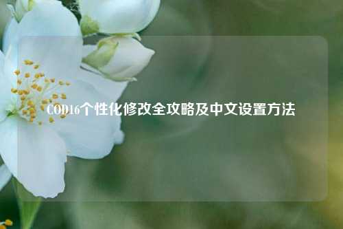 COD16个性化修改全攻略及中文设置方法