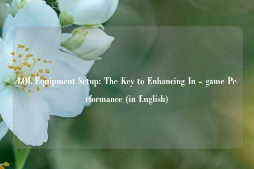 LOL Equipment Setup: The Key to Enhancing In - game Performance (in English)
