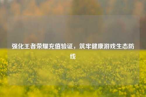 强化王者荣耀充值验证，筑牢健康游戏生态防线