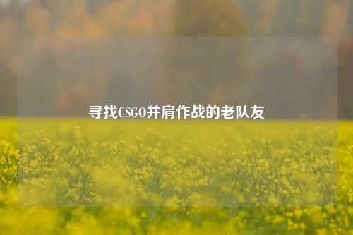 寻找CSGO并肩作战的老队友