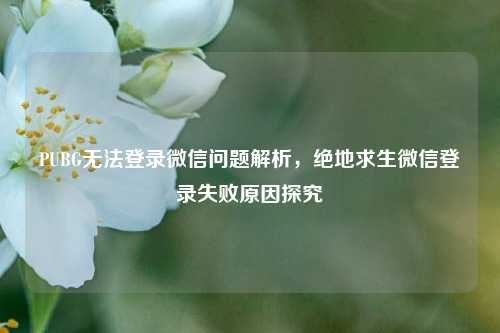PUBG无法登录微信问题解析，绝地求生微信登录失败原因探究