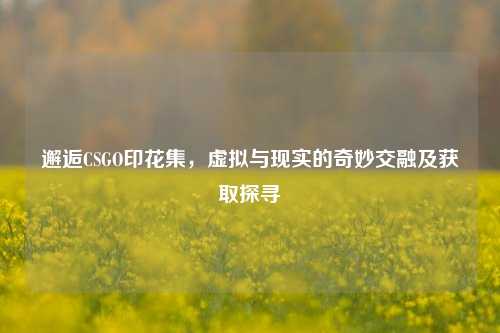 邂逅CSGO印花集，虚拟与现实的奇妙交融及获取探寻