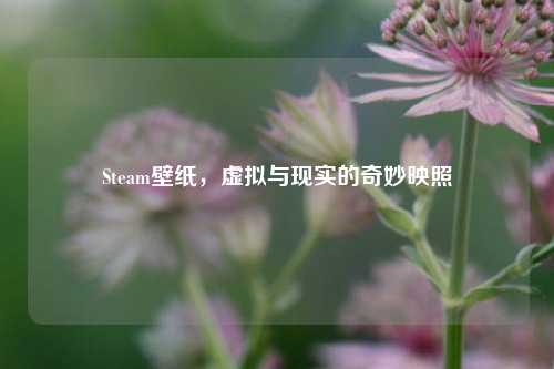 Steam壁纸，虚拟与现实的奇妙映照