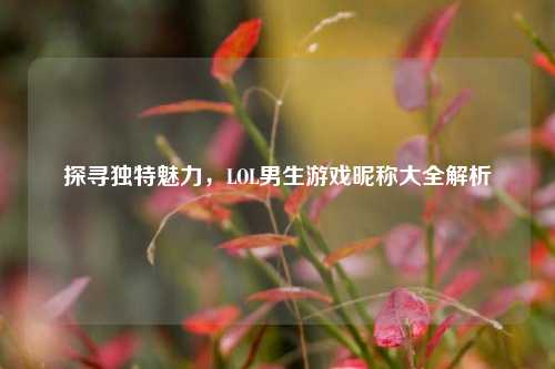 探寻独特魅力，LOL男生游戏昵称大全解析