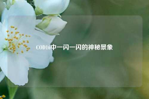 COD16中一闪一闪的神秘景象