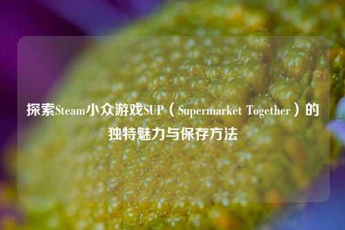 探索Steam小众游戏SUP（Supermarket Together）的独特魅力与保存方法
