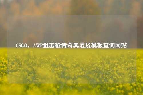 CSGO，AWP狙击枪传奇典范及模板查询网站