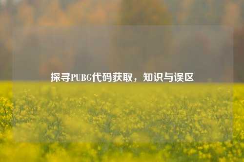 探寻PUBG代码获取，知识与误区