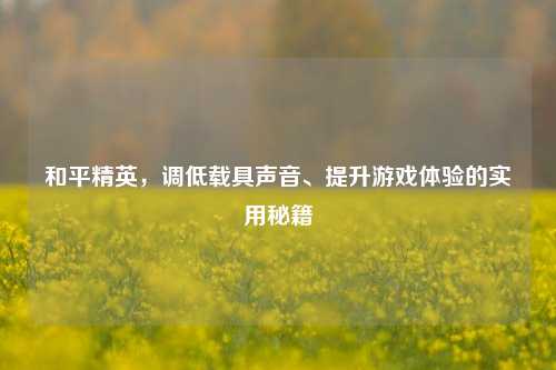 和平精英，调低载具声音、提升游戏体验的实用秘籍
