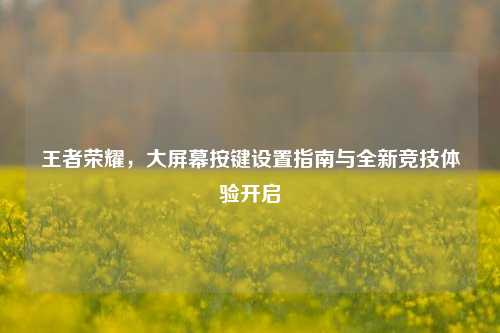 王者荣耀，大屏幕按键设置指南与全新竞技体验开启