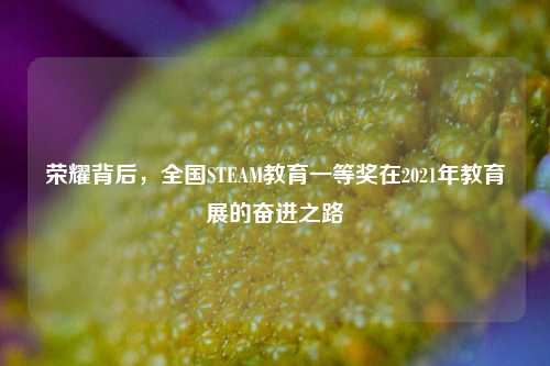 荣耀背后，全国STEAM教育一等奖在2021年教育展的奋进之路