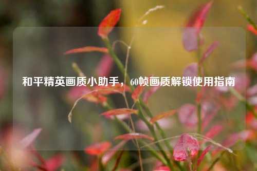 和平精英画质小助手，60帧画质解锁使用指南
