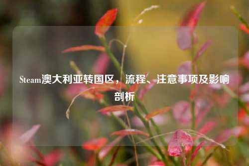 Steam澳大利亚转国区，流程、注意事项及影响剖析