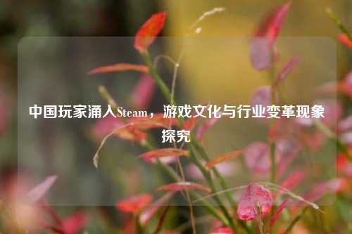 中国玩家涌入Steam，游戏文化与行业变革现象探究