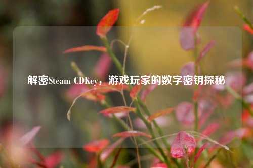 解密Steam CDKey，游戏玩家的数字密钥探秘