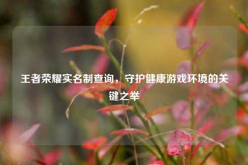 王者荣耀实名制查询，守护健康游戏环境的关键之举