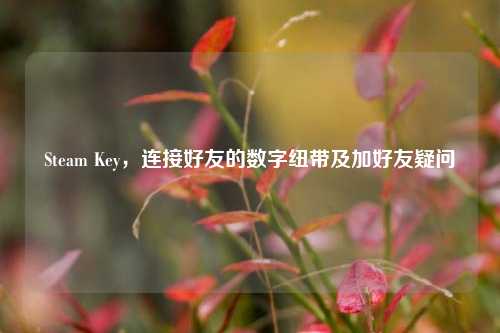 Steam Key，连接好友的数字纽带及加好友疑问