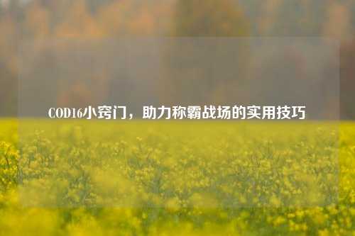 COD16小窍门，助力称霸战场的实用技巧