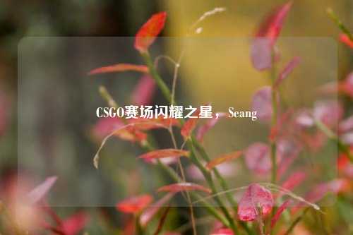 CSGO赛场闪耀之星，Seang