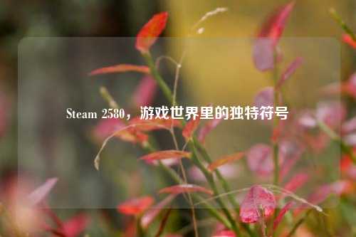 Steam 2580，游戏世界里的独特符号