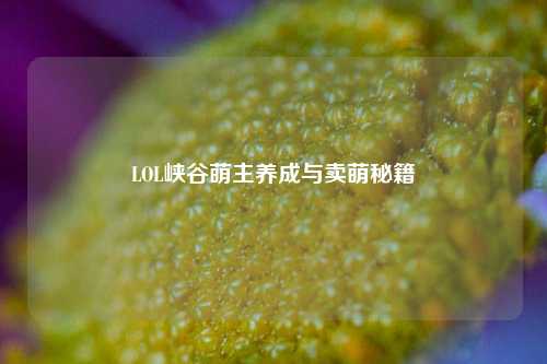 LOL峡谷萌主养成与卖萌秘籍