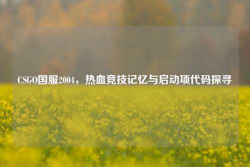 CSGO国服2004，热血竞技记忆与启动项代码探寻