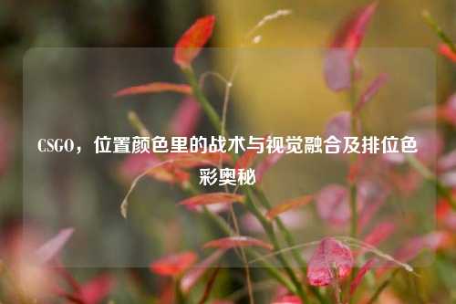 CSGO，位置颜色里的战术与视觉融合及排位色彩奥秘