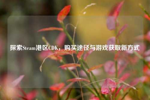 探索Steam港区CDK，购买途径与游戏获取新方式