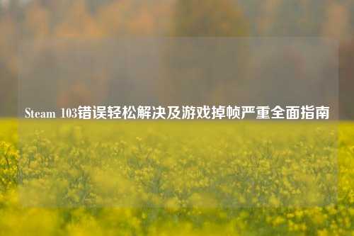 Steam 103错误轻松解决及游戏掉帧严重全面指南