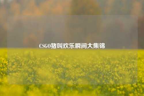 CSGO猪叫欢乐瞬间大集锦