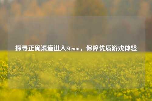 探寻正确渠道进入Steam，保障优质游戏体验