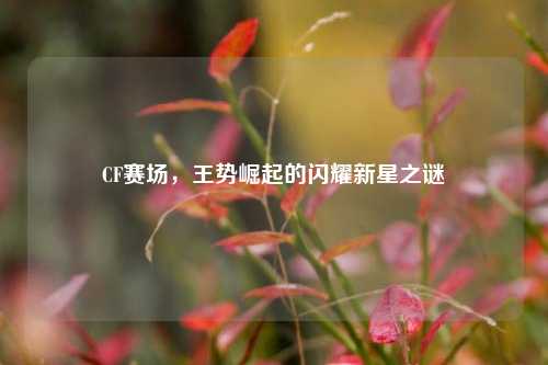 CF赛场，王势崛起的闪耀新星之谜