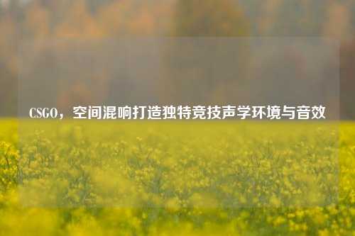 CSGO，空间混响打造独特竞技声学环境与音效