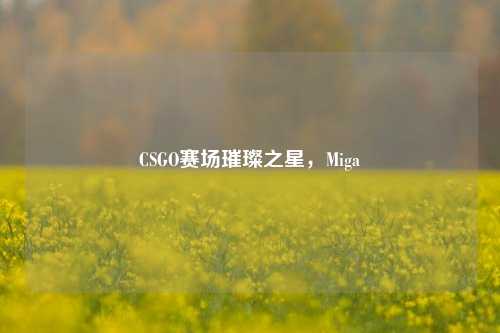CSGO赛场璀璨之星，Miga