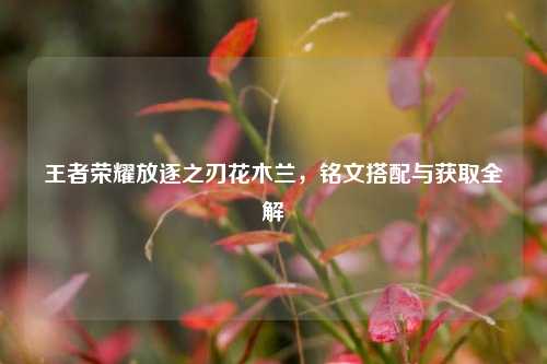 王者荣耀放逐之刃花木兰，铭文搭配与获取全解