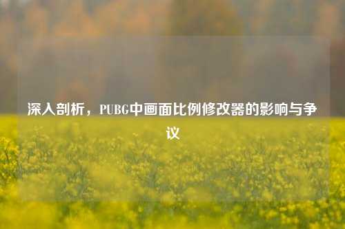 深入剖析，PUBG中画面比例修改器的影响与争议