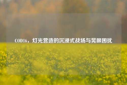 COD16，灯光营造的沉浸式战场与晃眼困扰