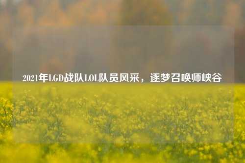 2021年LGD战队LOL队员风采，逐梦召唤师峡谷